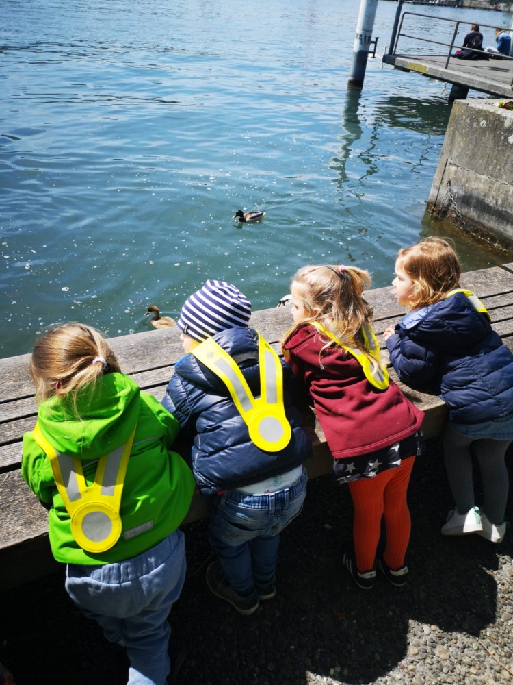 Spaziergang zu dem Zürchersee