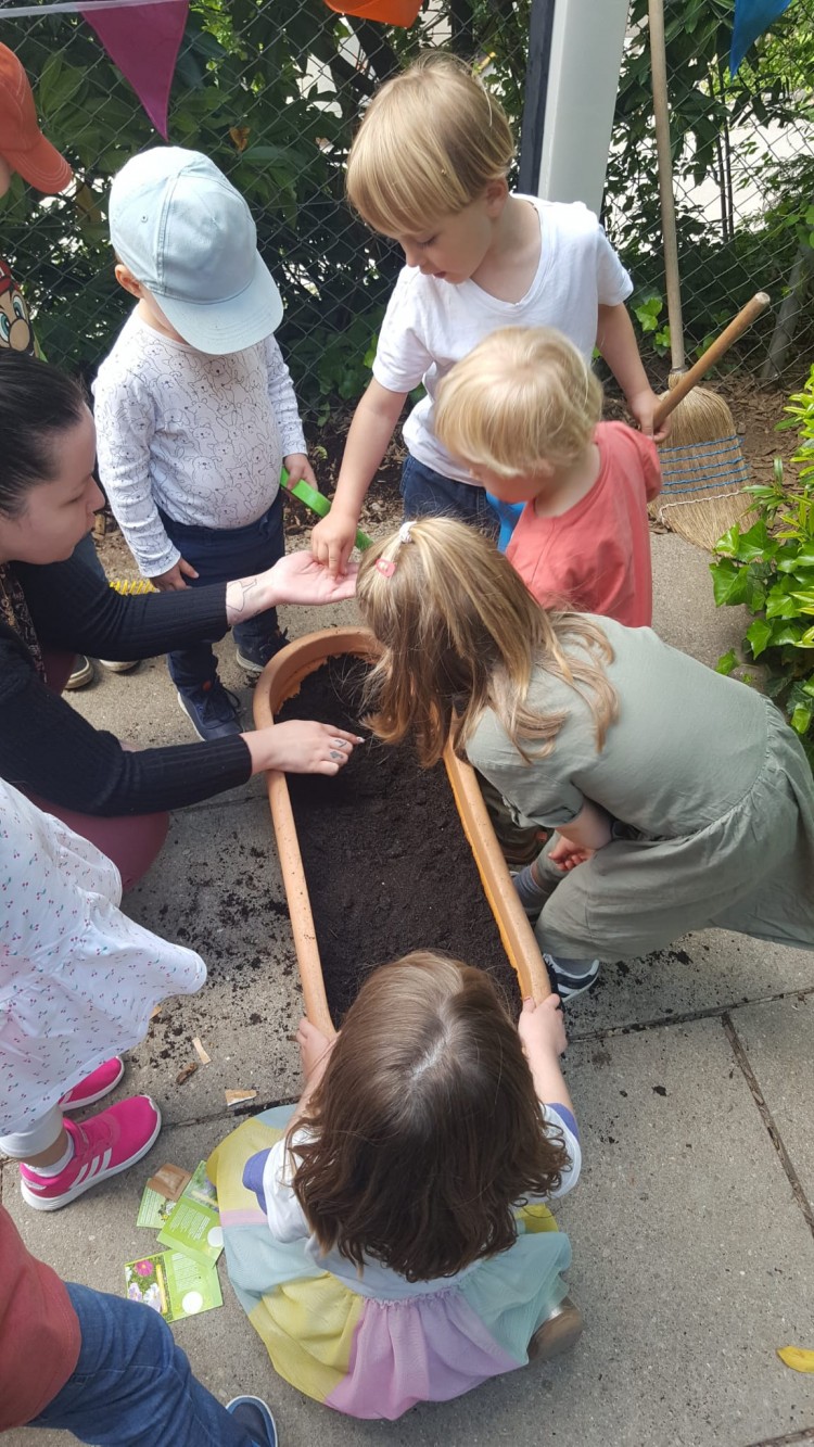 Die Sonne scheint und wir wollen unser Garten mit Blumen  verschönern