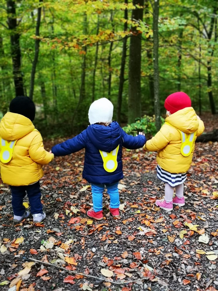 Wald Spaziergang