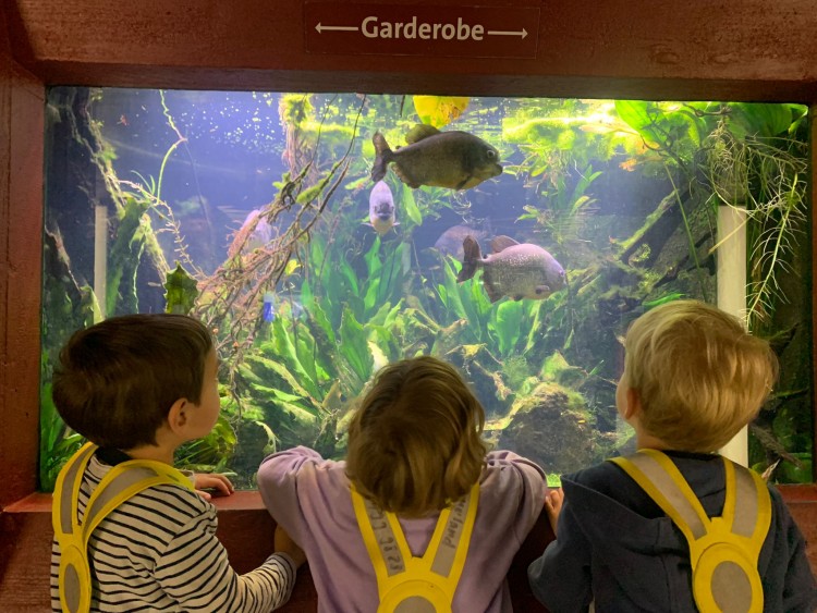 Botanischer Garten