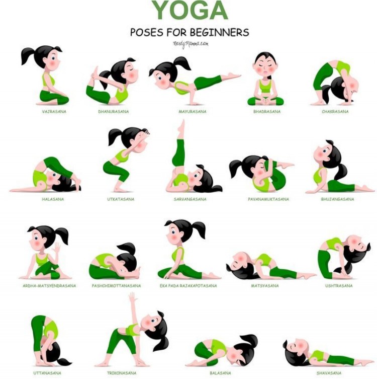 Unsere Übungen Pashchimottanasana